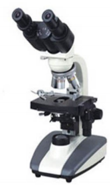 tl_files/2015/Microscopio binocular aquila.jpg